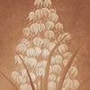 <strong>Desierto y Flores Sepia</strong><br>
				Técnica: Grabado sobre papel de algodón<br>
                Mezzotinta<br>
                Medidas: 30 x 23 cms.<br>
                $100 Dólares